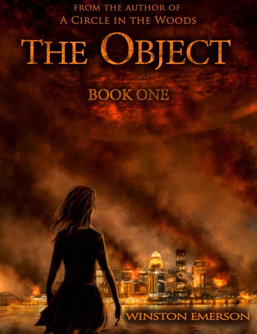 The Object: Book One (Object Series)