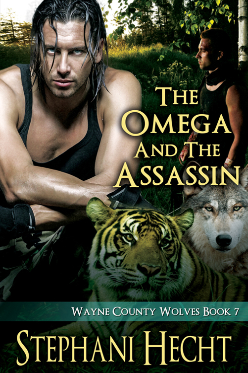 The Omega and the Assassin by Stephani Hecht
