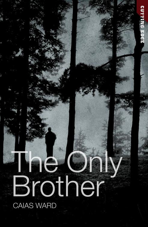 The Only Brother (2012)