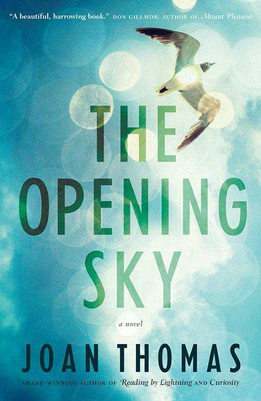 The Opening Sky (2014) by Joan Thomas