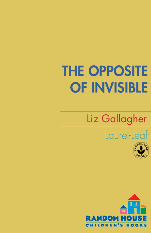 The Opposite of Invisible (2008) by Liz Gallagher