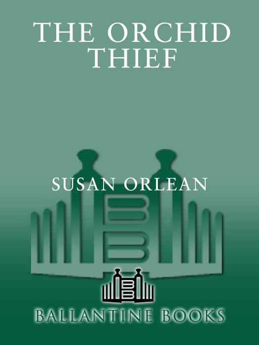 The Orchid Thief (2011) by Susan Orlean