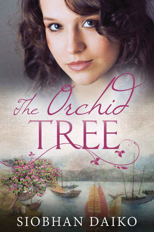 The Orchid Tree