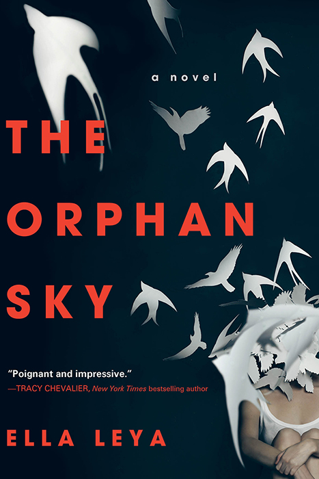 The Orphan Sky by Ella Leya