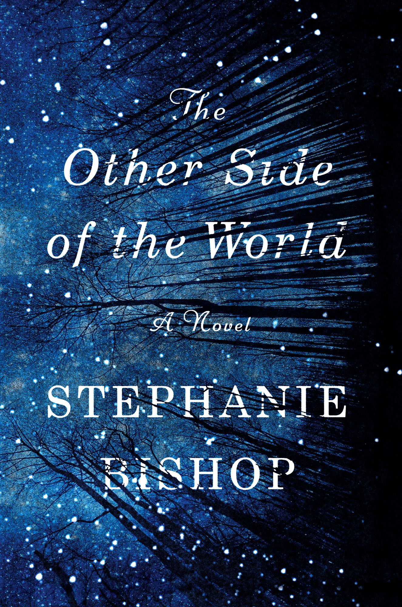 The Other Side of the World by Stephanie Bishop