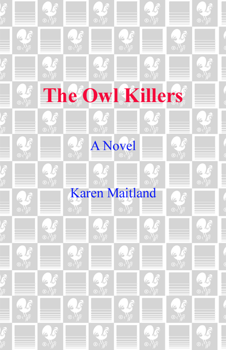 The Owl Killers (2009)