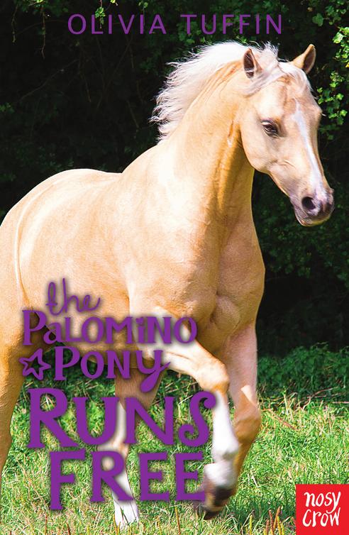 The Palomino Pony Runs Free (2015)