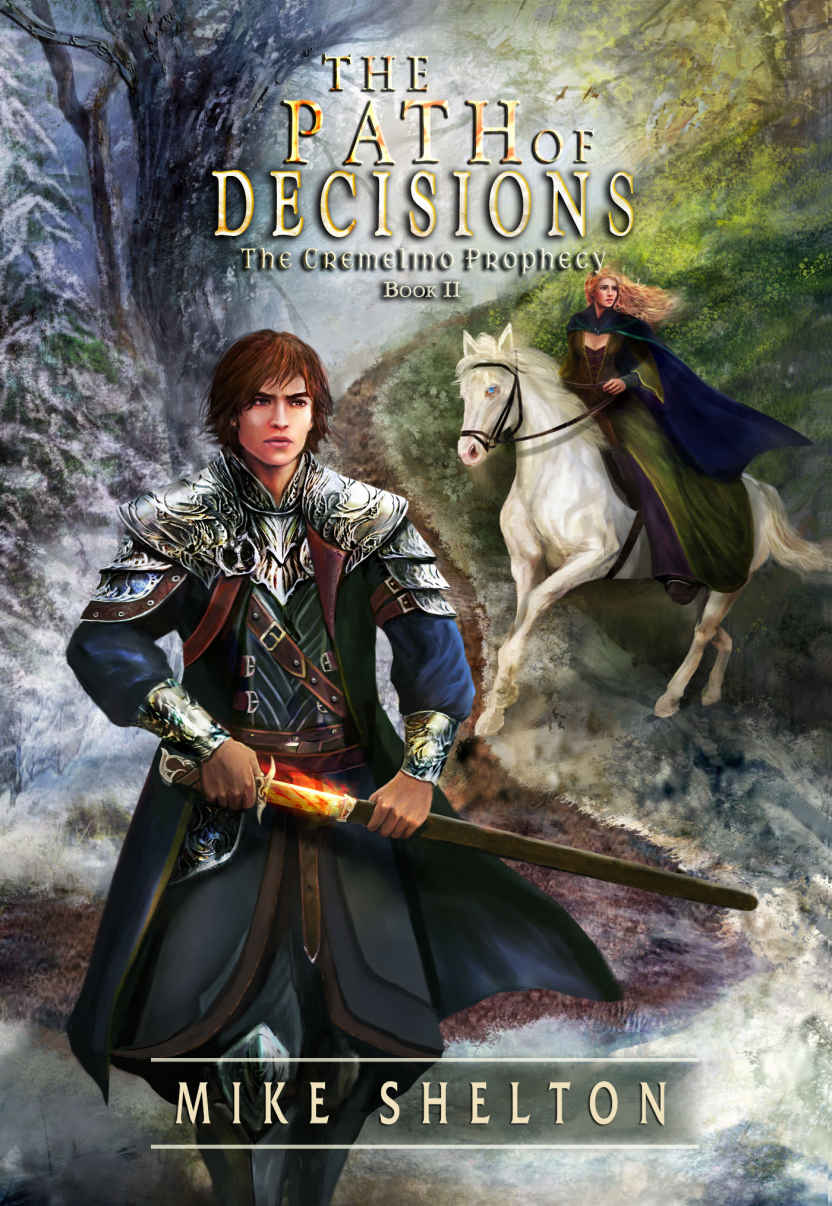 The Path of Decisions by Mike Shelton