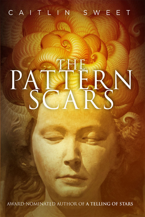 The Pattern Scars by Caitlin Sweet