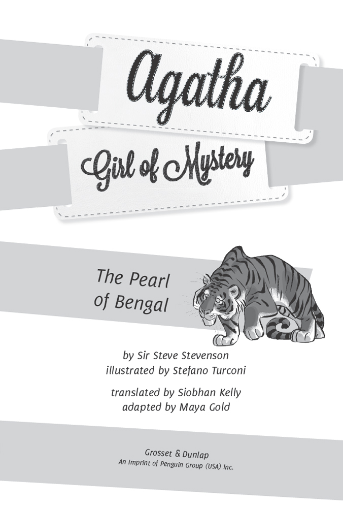 The Pearl of Bengal (2013)