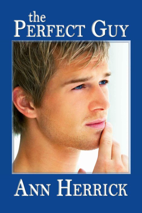 The Perfect Guy (Books We Love Young Adult Romance) by Ann Herrick