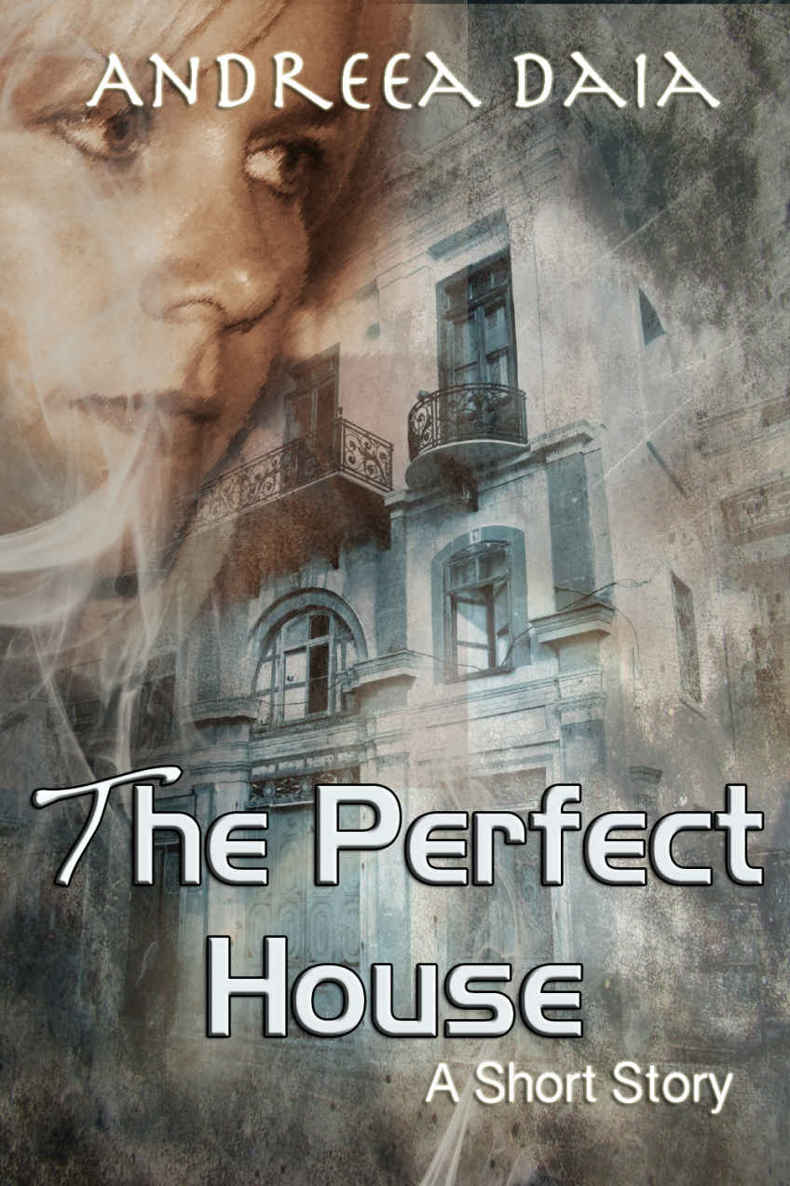 The Perfect House by Daia, Andreea