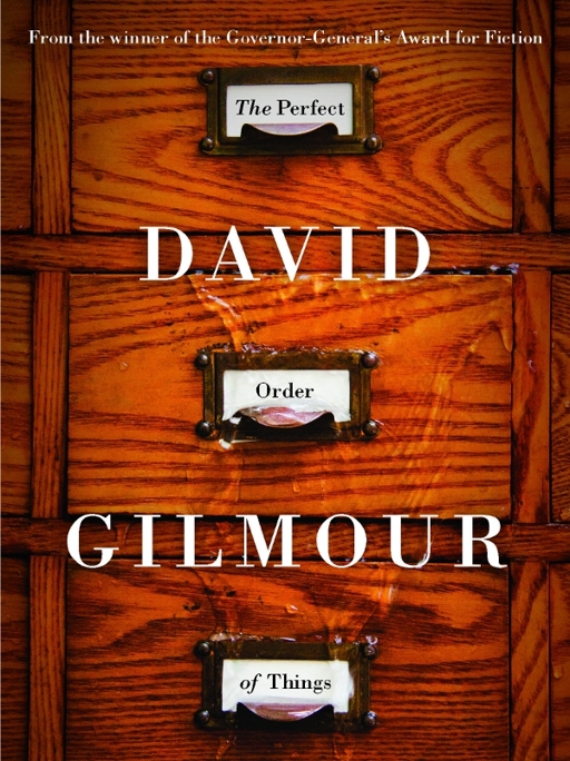 The Perfect Order of Things by David  Gilmour