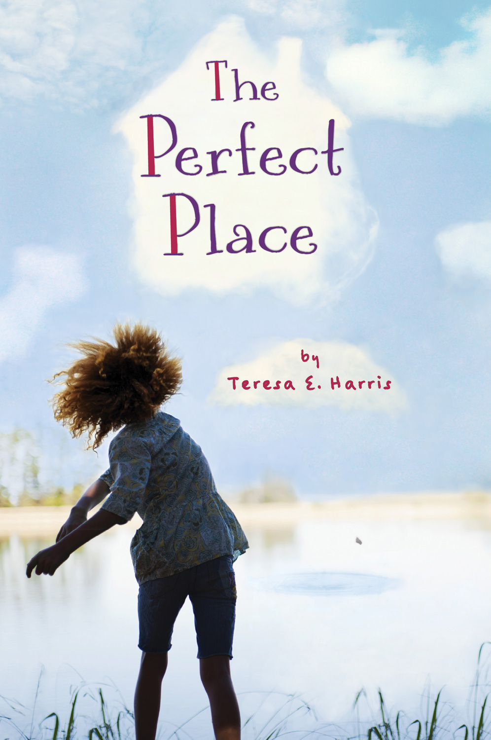 The Perfect Place by Teresa E. Harris