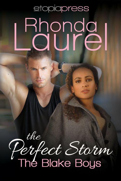 The Perfect Storm (The Blake Boys Book 6) by Laurel, Rhonda