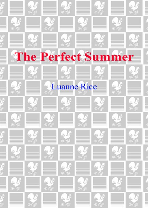 The Perfect Summer (Hubbard's Point) by Rice, Luanne