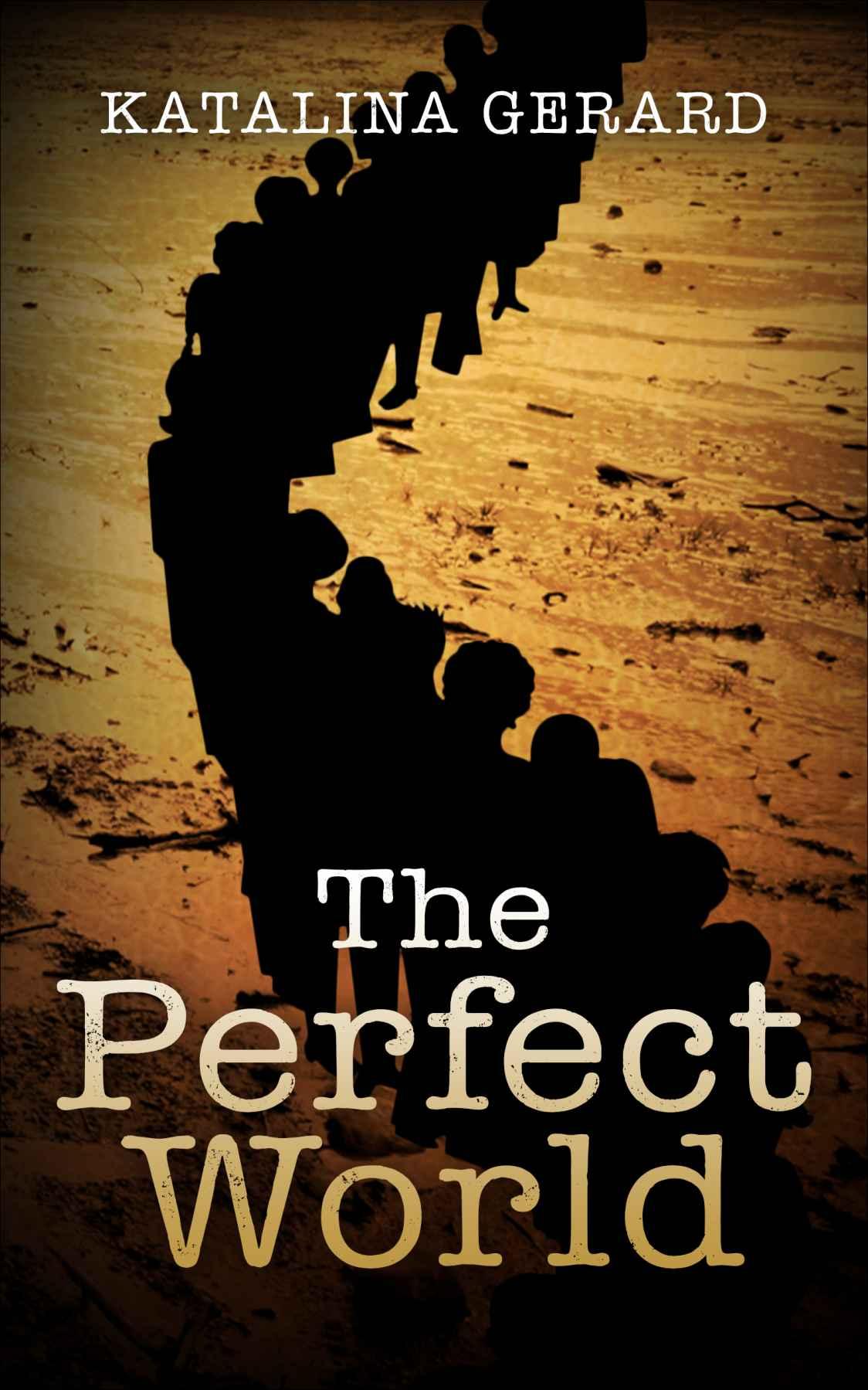 The Perfect World (The Perfect World Series Book 1)