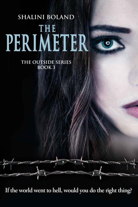 The Perimeter by Boland, Shalini