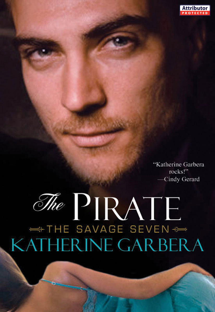 The Pirate (2010) by Katherine Garbera