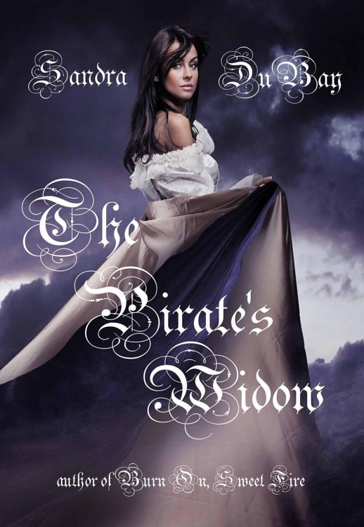 The Pirate's Widow by DuBay, Sandra