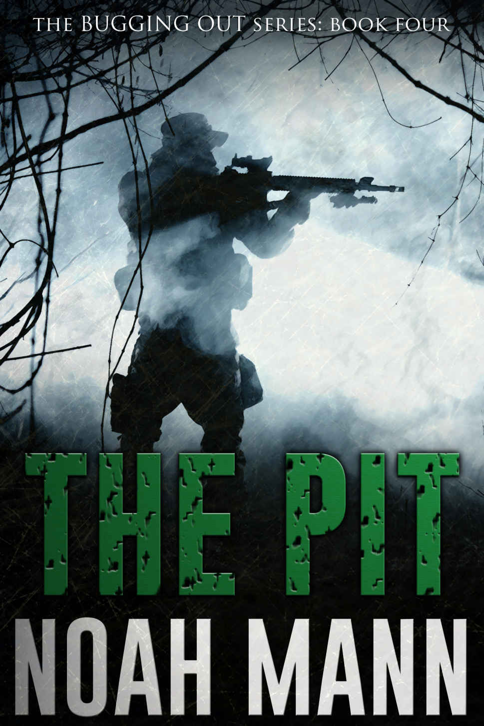 The Pit (The Bugging Out Series Book 4) by Noah Mann