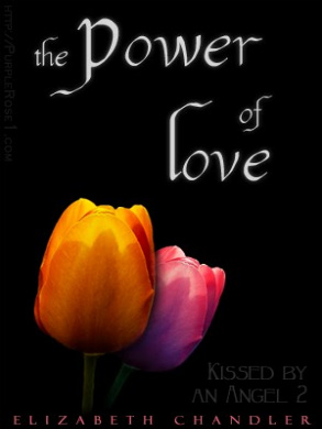 The Power of Love by Elizabeth Chandler