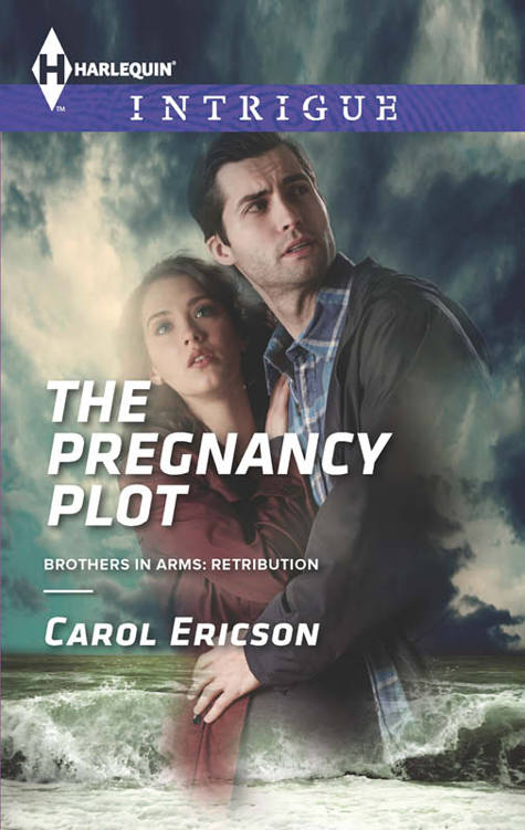 The Pregnancy Plot (Brothers In Arms: Retribution Book 2) by Carol Ericson