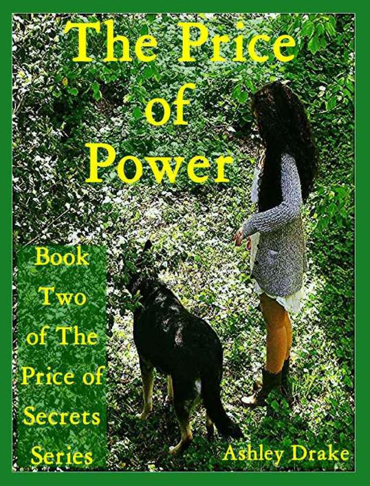 The Price of Power (The Price of Secrets Series Book 2)