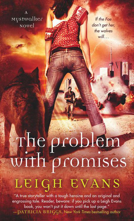 The Problem with Promises by Leigh Evans