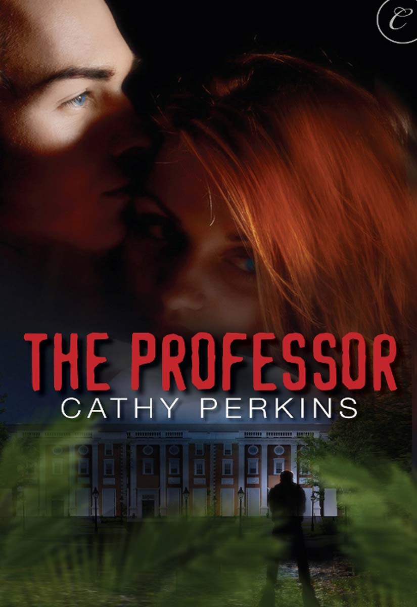 The Professor (2012) by Cathy Perkins