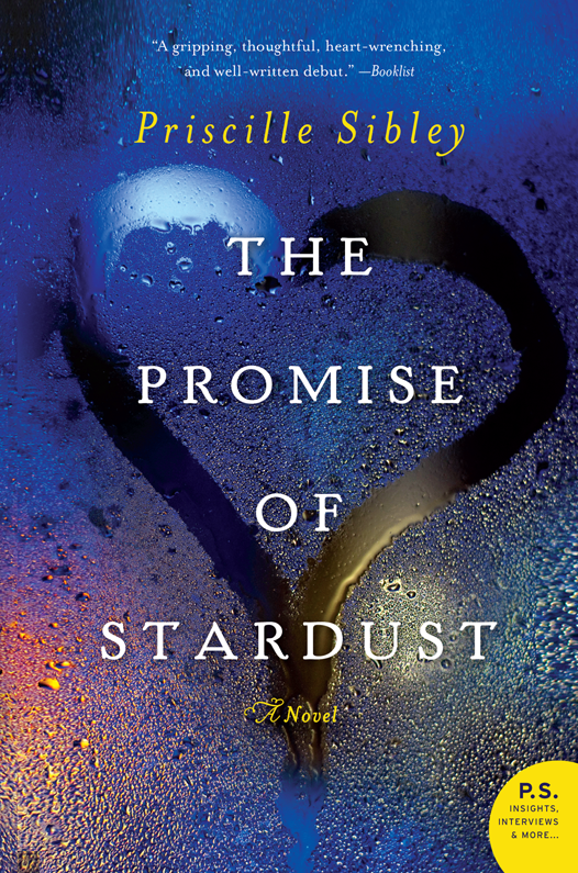 The Promise of Stardust by Priscille Sibley