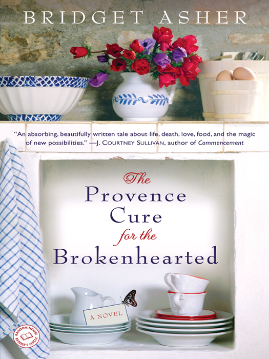 The Provence Cure for the Brokenhearted (2011) by Bridget Asher