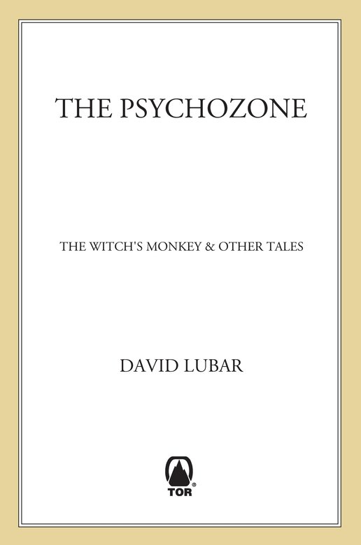 The Psychozone (2011) by David Lubar