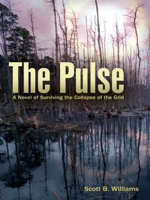 The Pulse: A Novel of Surviving the Collapse of the Grid by Williams, Scott B.