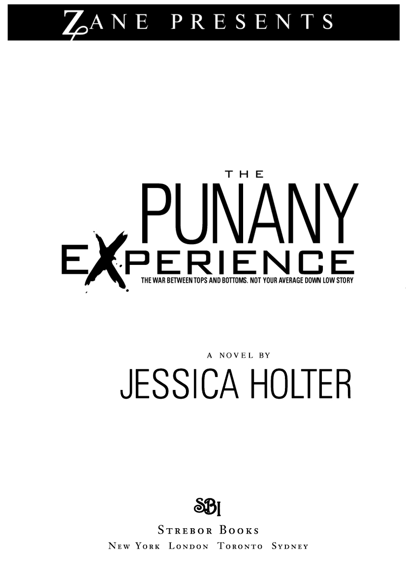 The Punany Experience (2010) by Jessica Holter