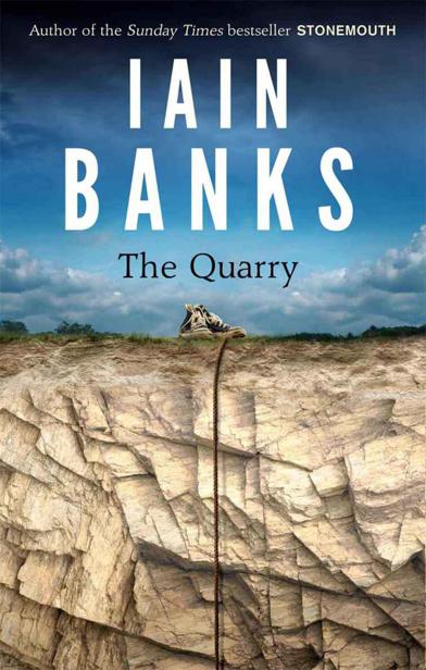 The Quarry by Banks, Iain