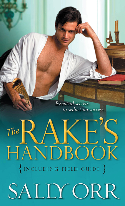 The Rake's Handbook (2014) by Sally Orr