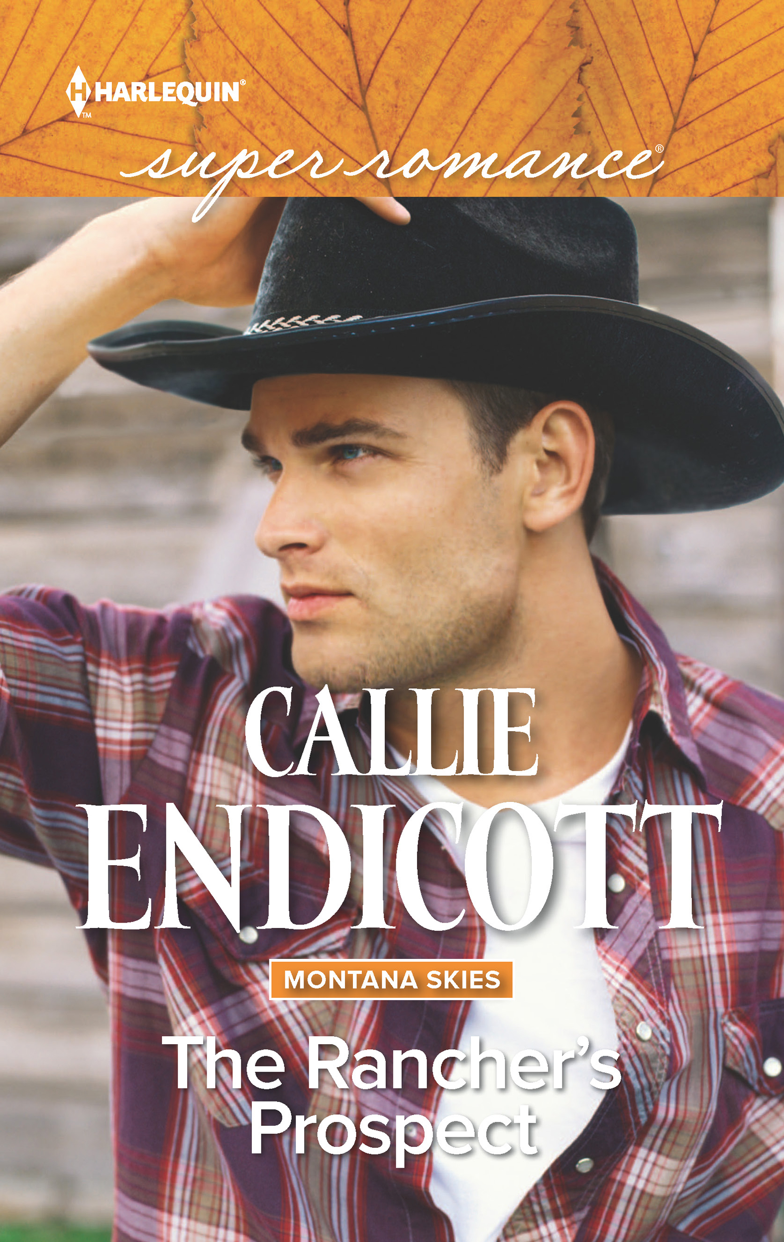 The Rancher's Prospect (2016) by Callie Endicott