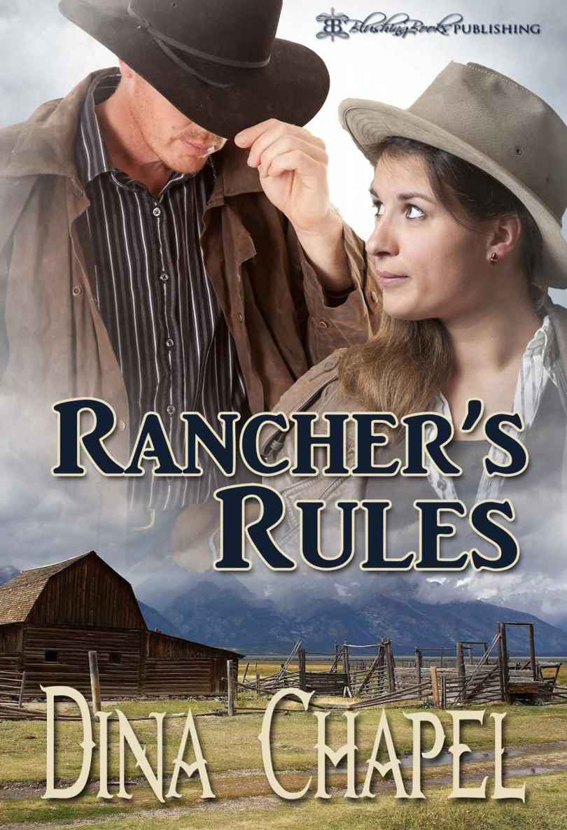 The Rancher's Rules by Dina Chapel