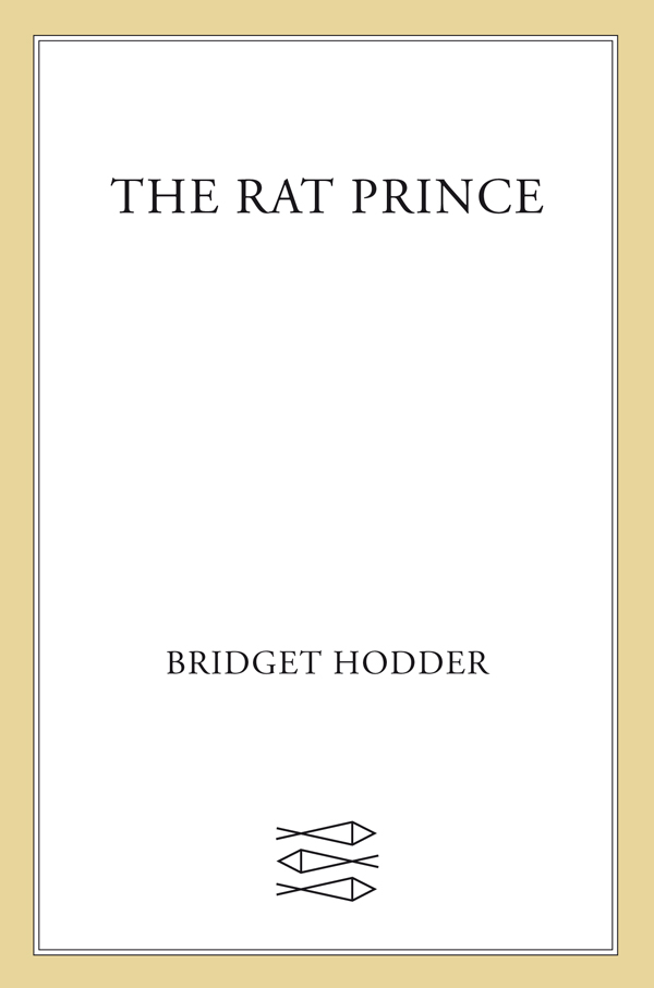 The Rat Prince by Bridget Hodder