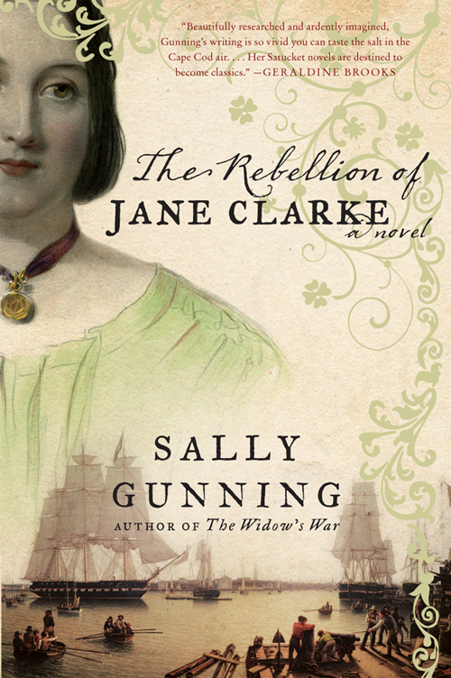 The Rebellion of Jane Clarke by Sally Gunning