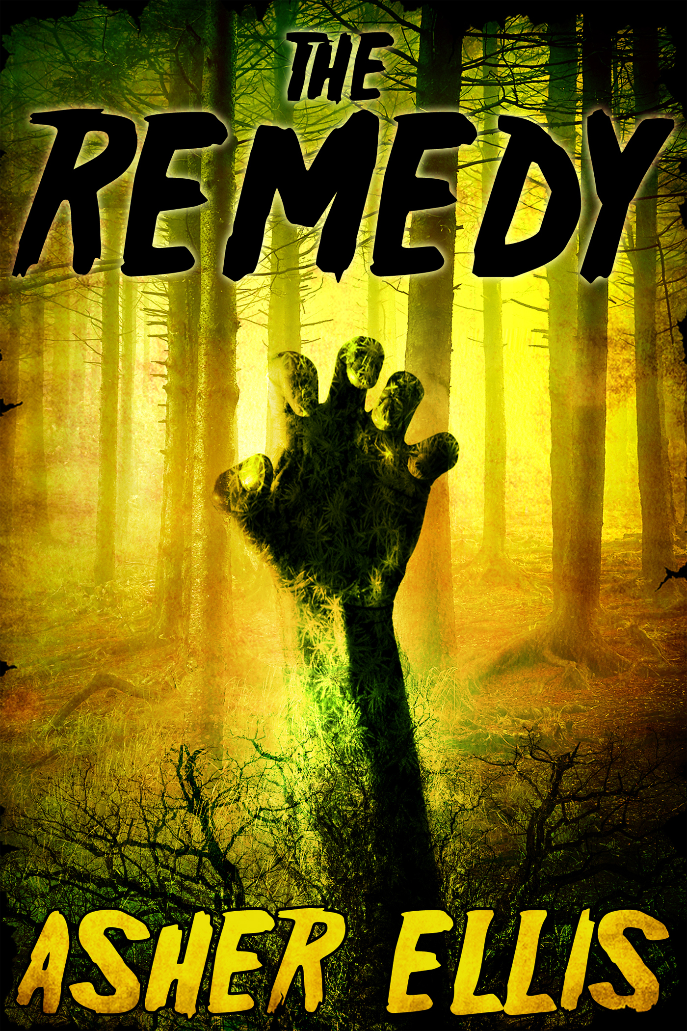 The Remedy (2014) by Asher Ellis