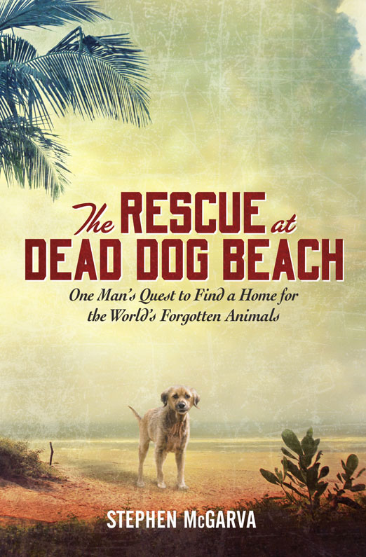 The Rescue at Dead Dog Beach by Stephen McGarva