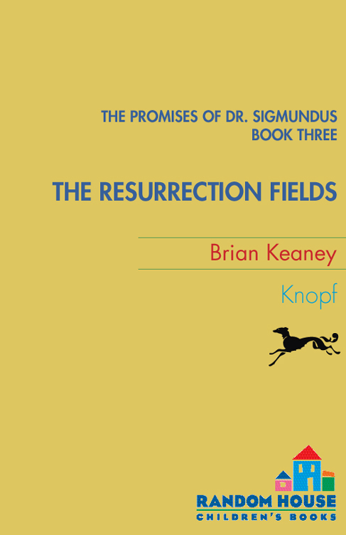 The Resuurection Fields (2009) by Brian Keaney