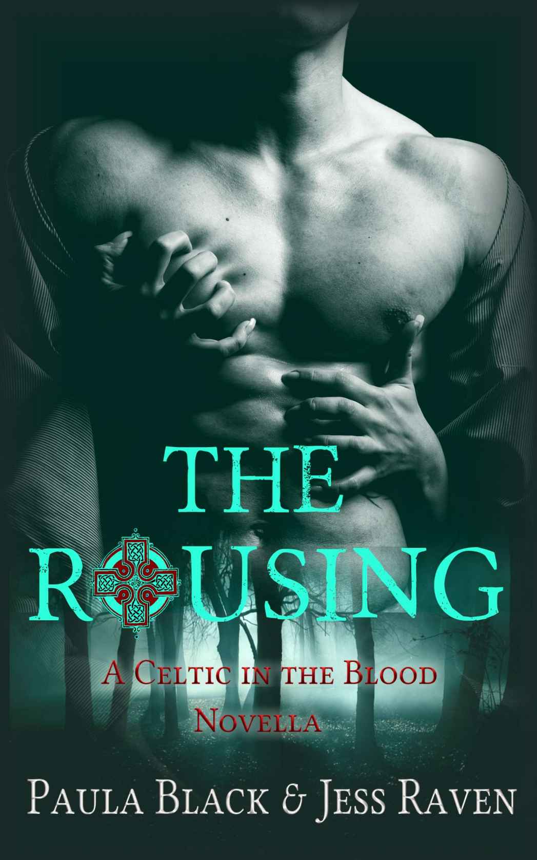 The Rousing: A Celtic in the Blood Novella by Jess Raven