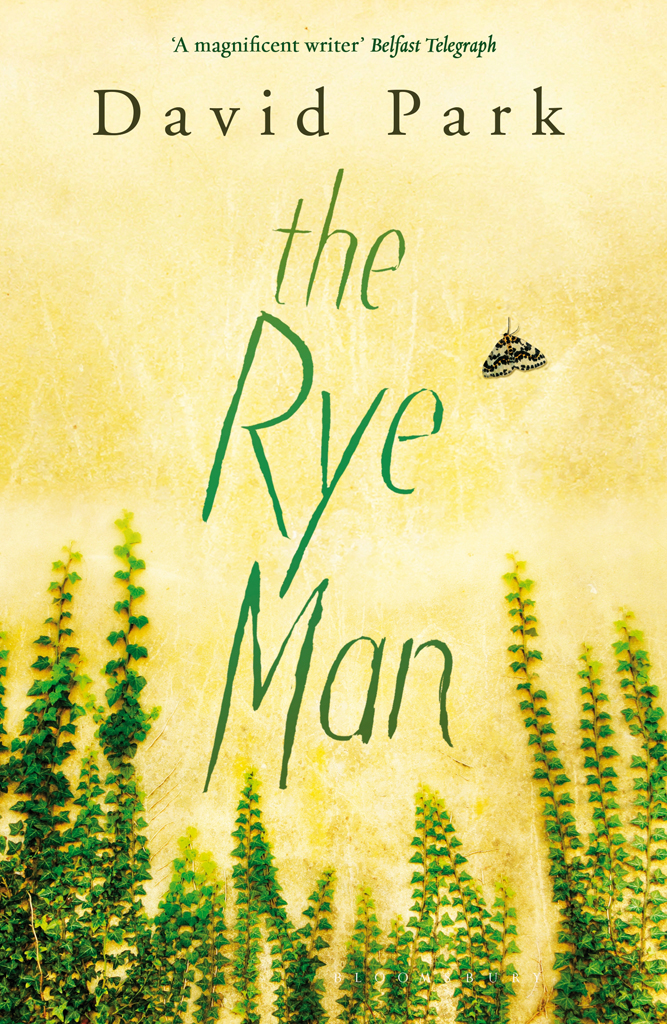 The Rye Man (2015) by David Park