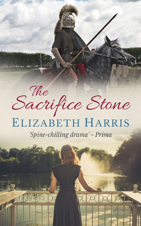 The Sacrifice Stone by Elizabeth   Harris