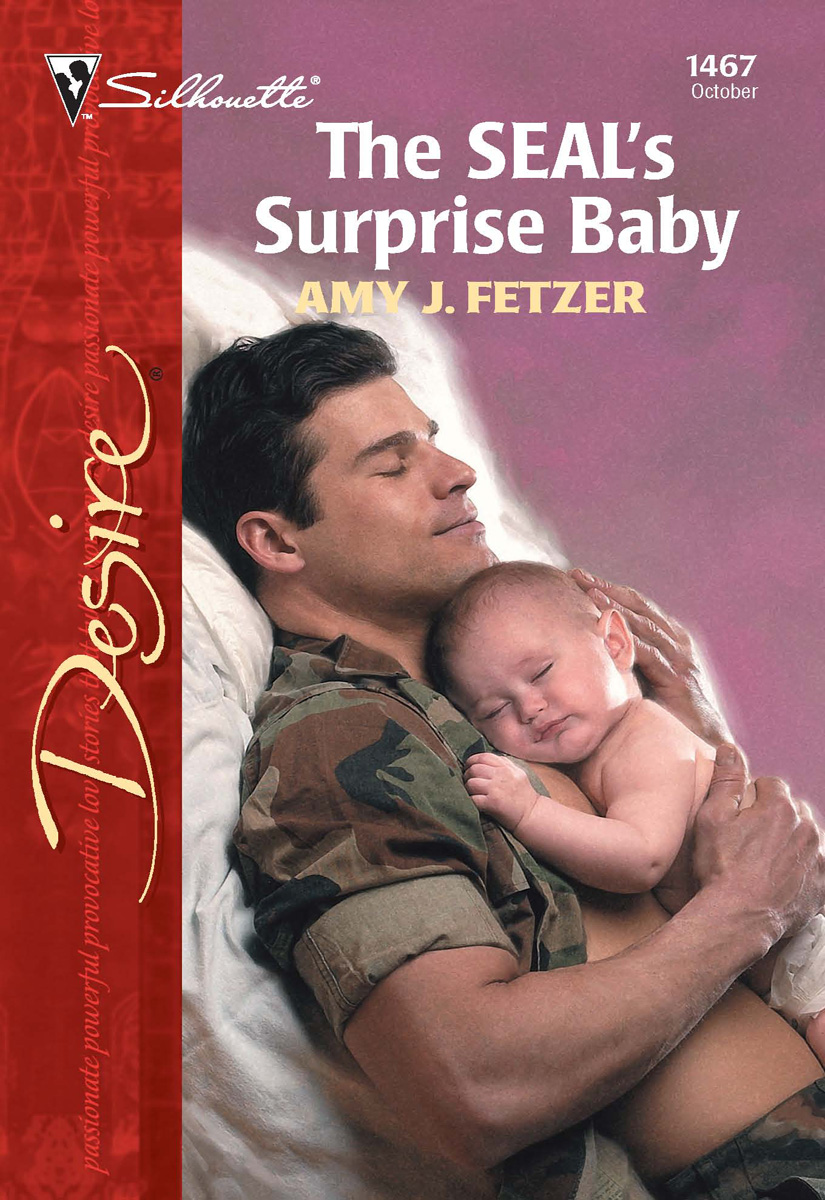 The SEAL’s Surprise Baby (2002) by Amy J. Fetzer