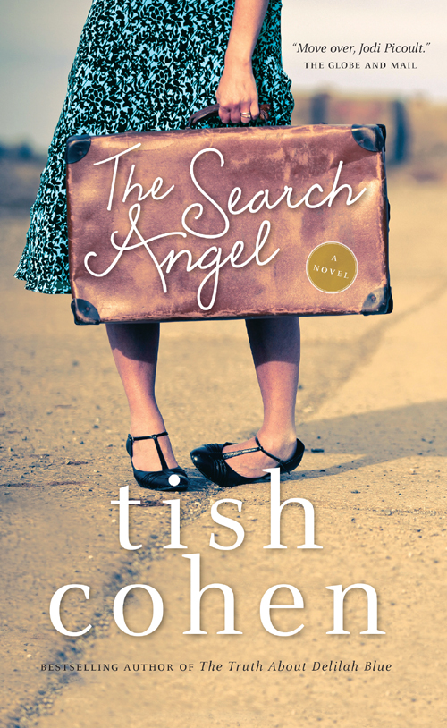 The Search Angel (2013) by Tish Cohen