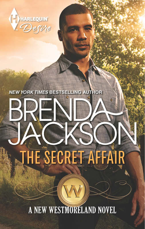 The Secret Affair (2014) by Brenda Jackson